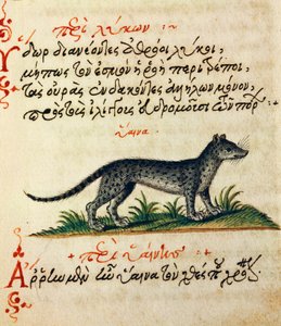 Treatise on Hyena from De animalium natura et proprietate libellus