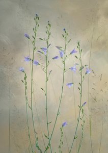 Delicate Bellflowers by Greetje van Son