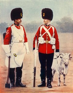 The Royal Welsh Fusiliers, 1901