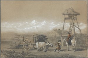 The Cossacks