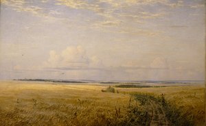 The Mellowing Fields