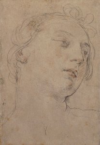 The Head of Europa by Guido Reni