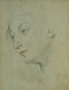 The Head of a Woman Looking Down to the Left