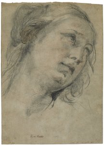 The Head of a Young Woman Looking Upward by Guido Reni