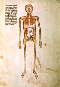 Miniature from "Anatomy" by Guido da Vigevano, Physician of King Philippe VI of France