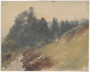 Mountain Slope with Pines