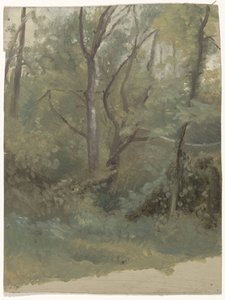 Forest View