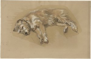 Lying Dog by Guillaume Anne van der Brugghen
