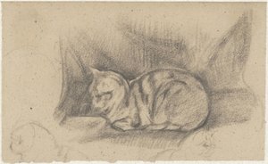 Lying Cat Facing Left
