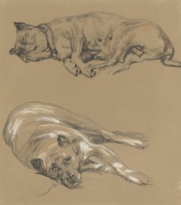 Two Studies of a Lying Dog by Guillaume Anne van der Brugghen