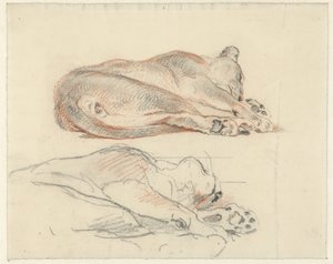 Two Studies of a Reclining Tiger by Guillaume Anne van der Brugghen