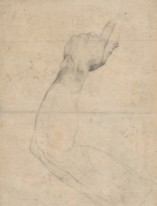 Study of an Arm