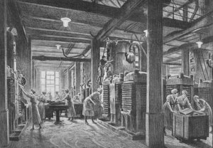 A Modern Oil Seed Crushing Plant by Gunning King