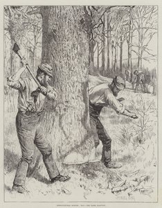 Agricultural Scenes, May, the Bark Harvest by Gunning King