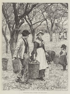 Agricultural Scenes, November, the Apple Harvest