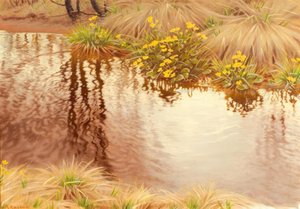 Summer Riverside Landscape