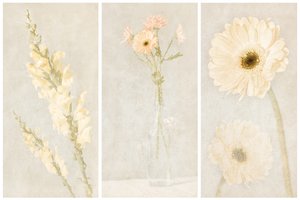 Faded Floral Triptych by Gustav Davidsson