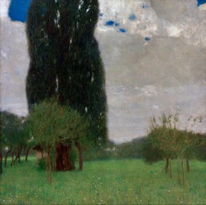 The Great Poplar I