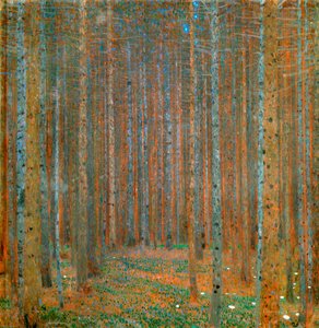 Fir Forest I