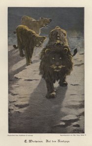 On the Raid