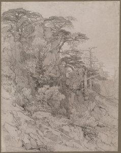 Trees of a Rocky Hillside by Gustave Achille Guillaumet