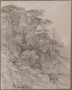 Trees of a Rocky Hillside by Gustave Achille Guillaumet
