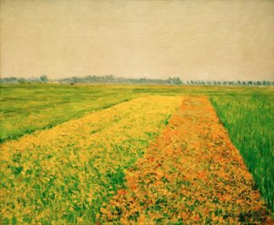 The Plain of Gennevilliers, Yellow Fields by Gustave Caillebotte