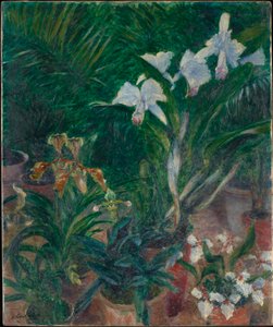 Orchids in the Greenhouse of Petit Gennevilliers, 1893 by Gustave Caillebotte