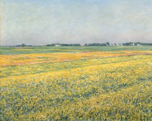 The Plain of Gennevilliers, Yellow Fields