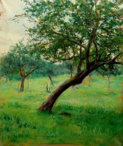 Orchard, Also Called Orchard in Normandy