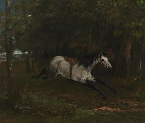 Galloping Horse by Gustave Courbet
