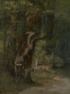 Deer in the Forest by Gustave Courbet