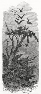 A Celtic Sky Burial, 1866 by Gustave Dore