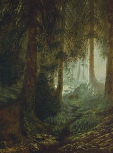 Deer in a forest landscape