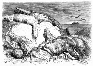 Engraving by Gustave Dore around 1850: Evocation of an Apocalyptic Deluge Combining Biblical Tradition (One Can See in the Distance the Ark of Noah on the Sea) and the Beginning of Scientific Knowledge (Various Monstrous Animals Failed on the Mountain)