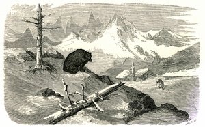 Engraving by Gustave Dore Illustrating the Book 