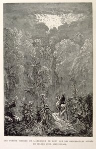 Illustration of American forest (from La legende de Croque-Mitaine)