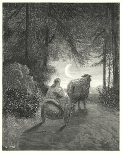 Donkey Skin (engraving) by Gustave Dore