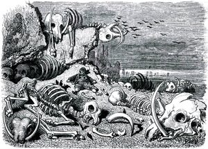 Sindbad the sailor (Sinbad) - tale of the thousand and one (1001) nights - illustration by Gustave Dore - edition Maxwell 1865 - Seventh and last voyage: the cemetery of the elephants where Sindbad will recover the ivory defenses