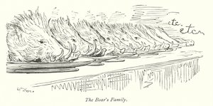 The Boar