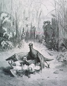 The Fable of the Lark, Her Young Ones and the Master of the Field, Illustration for the Fables of La Fontaine