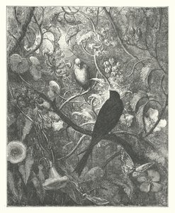 The Fables of La Fontaine: Philomel and Progne by Gustave Dore