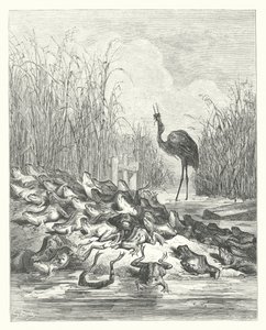 The Fables of La Fontaine: The Frogs who asked for a King by Gustave Dore