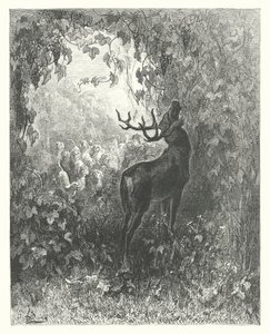 The Fables of La Fontaine: The Stag and the Vine by Gustave Dore