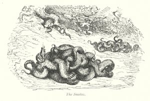 The Snakes