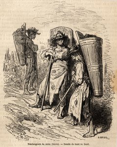 The pickers of Xeres. Drawing by Gustave Dore, to illustrate his trip to Spain in 1862, with Ch. Davillier. Engraving in Le tour du monde, edited by Edouard Charton by Gustave Dore