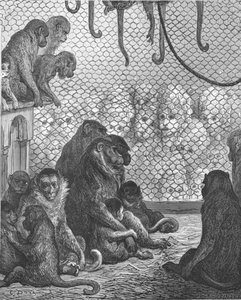 Zoological Gardens - The Monkey House