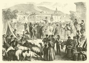 Annual fair of the town of Alcala, Spain