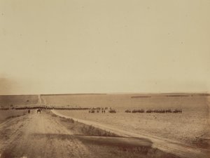 Maneuvers, Camp de Châlons, 1857