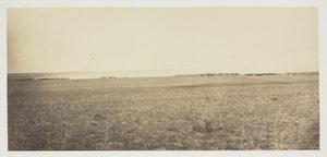 Untitled by Gustave Le Gray